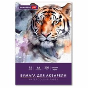 Бумага для акварели А4 в папке, 15 листов, 300 г/м2, среднее зерно, BRAUBERG ART CLASSIC, 116353