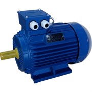 Электродвигатель ЭМШ АИР100L4У1