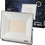 Светодиодный прожектор Ritter PROFI