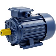 Электродвигатель ТМ БЭЗ АИP 180M2 IM1081