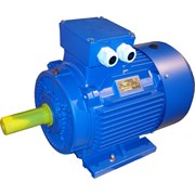 Электродвигатель ЭМШ 280М4У1 132кВт, 380,660В, IMB3 1081, IP55, 708кг
