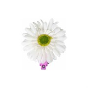 Звонок STG Х82732