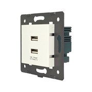 Розетка LIVOLO AM-2USB-11