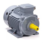 Общепромышленный электродвигатель ESQ PR 132 M4 GST-Б1-S12-IE2