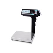 Весы-регистраторы МАССА-К МК-6.2-RP-10-1