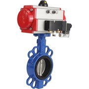 Затвор DN.ru wcb-316l-epdm