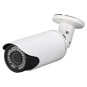 Видеокамера IP Рубин DVI-S125 POE LV