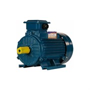 Электродвигатель 5АИ 100 L8 1.5/750 IM 1081