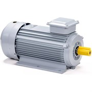 Общепромышленный электродвигатель ESQ PR 90 L6 GST-Б1-S12-IE2