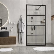 Душевая перегородка WasserKRAFT Glan