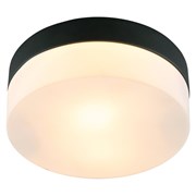 Потолочный светильник Arte Lamp A6047PL-1BK