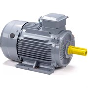 Общепромышленный электродвигатель ESQ PR 160 M4 GST-Б1-S12-IE2