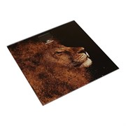 Весы Добрыня DO