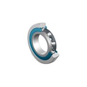 Подшипник INA LR205-2RSR