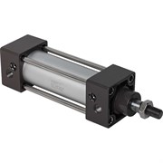 Пневмоцилиндр NBPT 81425