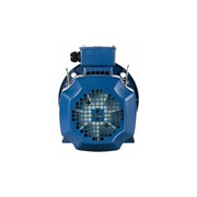 Электродвигатель 5АИ 100 S2 4/3000 IM 2081