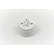 Поворотный выключатель Interior Electric серии "вектор"