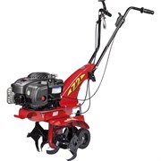 Мотокультиватор Eurosystems Z 2 RM B&S 450 Series