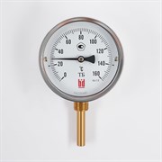 Биметаллический термометр BD ТБ 100Р/100