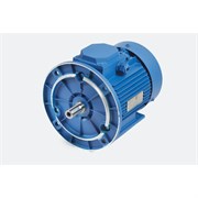 Электродвигатель МЭЗ АИР56В2