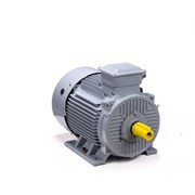 Общепромышленный электродвигатель ESQ PR 250 M4 GST-Б1-S12-IE2