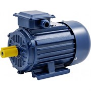 Электродвигатель ТМ БЭЗ АИP 112M2 IM1081
