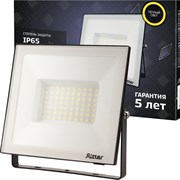 Светодиодный прожектор Ritter Profi