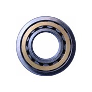 Подшипник DINROLL NU1011M