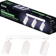 Накладной поворотный светильник Ritter Arton