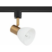 Потолочный светильник Arte Lamp A3117PL-1BK