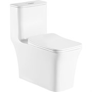 Напольный безободковый унитаз-моноблок Azario GRESSA AZ-1111