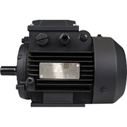 Электродвигатель МЭЗ АИРЕ56В2-У3-220-50IM1081К31Е