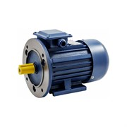 Электродвигатель ТМ БЭЗ АИР 100L4 IM2081