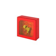Пенал для ключей DAKEN KIBOX 130х120х45, с окошком из безопасного стекла 82302