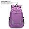 Рюкзак BRAUBERG HIGH SCHOOL универсальный, 3 отделения, "Стимул", фиолетовый, 46х31х18 см, 225516 - фото 11055220