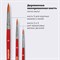 Кисти ПИФАГОР, набор 3 шт. (СИНТЕТИКА: круглые № 2, 3, 5), пакет с европодвесом, 200226 - фото 11206782