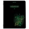 Тетради предметные, КОМПЛЕКТ 12 ПРЕДМЕТОВ, 48 листов, глянцевый УФ-лак, BRAUBERG, "DARK", 404028 - фото 13118947