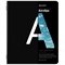 Тетради предметные, КОМПЛЕКТ 12 ПРЕДМЕТОВ, 48 л., матовая ламинация, BRAUBERG, "INTELLIGENCE", 404845 - фото 13120335