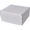 Самосборная коробка PACK INNOVATION IP0GKSSWH161608-10 - фото 13310420