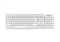 Клавиатура проводная Dareu LK185 White (белый), мембранная, 104 клавиши, EN/RU, 1,8м, размер 440x147x22мм - фото 13365215