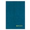 Книга учета 96 л., клетка, твердая, бумвинил, блок офсет, А4 200х290 мм, BRAUBERG, светло-синяя, 130069 - фото 13550624
