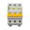Модульный автоматический выключатель IEK MVA20-3-006-B - фото 13600800