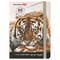 Скетчбук, белая бумага 80 г/м2, 145х203 мм, 80 л., резинка, твердый, BRAUBERG ART DEBUT "Тигр", 114580 - фото 13641951