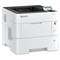 Принтер лазерный KYOCERA ECOSYS PA5000x А4, 50 стр./мин, 200000 стр./мес., ДУПЛЕКС, сетевая карта, 110C0X3NL0 - фото 13681164