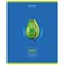 Тетрадь предметная "AVOCADO" 48 л., глянцевый лак, ЛИТЕРАТУРА, линия, подсказ, BRAUBERG, 404281 - фото 13681189