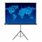 Экран Cactus Triscreen CS-PST-150x150, 150x150 см, 1:1, напольный, черный - фото 13695035