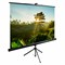 Экран Cactus TriExpert CS-PSTE-200x200-BK, 200x200 см, 1:1, напольный, черный - фото 13744608