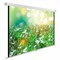 Экран Cactus WallExpert CS-PSWE-200x200-WT, 200x200 см, 1:1, настенно-потолочный, белый - фото 13744609