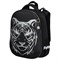 Ранец BRAUBERG SHINY, 2 отделения, с брелком, "Tiger", СВЕТЯЩИЙСЯ РИСУНОК, 38х28х14 см, 270698 - фото 13744694