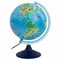 Глобус интерактивный + очки VR, зоогеографический, GLOBEN, 25см, с подсветкой, INT12500306 - фото 13747796